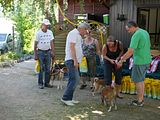 Golden Rabbit European Sandtrack-Derby Th. Ernst (213)